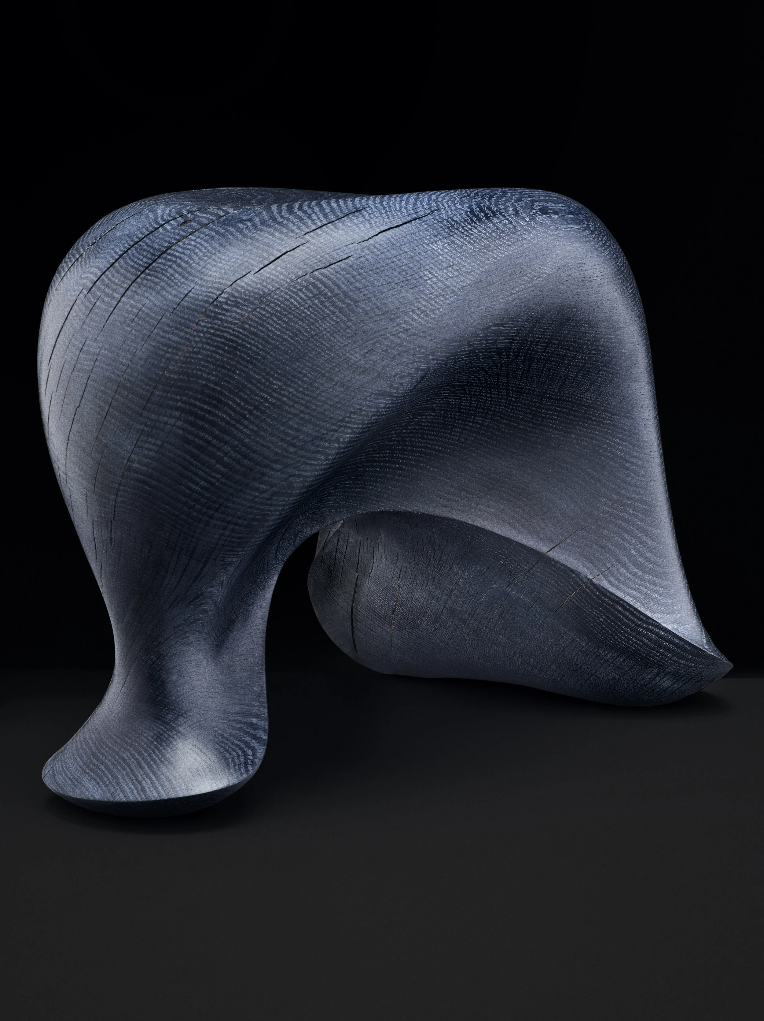 その他 Aldo Bakker NOSE Large Aldo Bakker — Particles Gallery Aldo Bakker NOSE Large